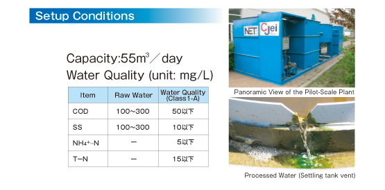 Setup Conditions